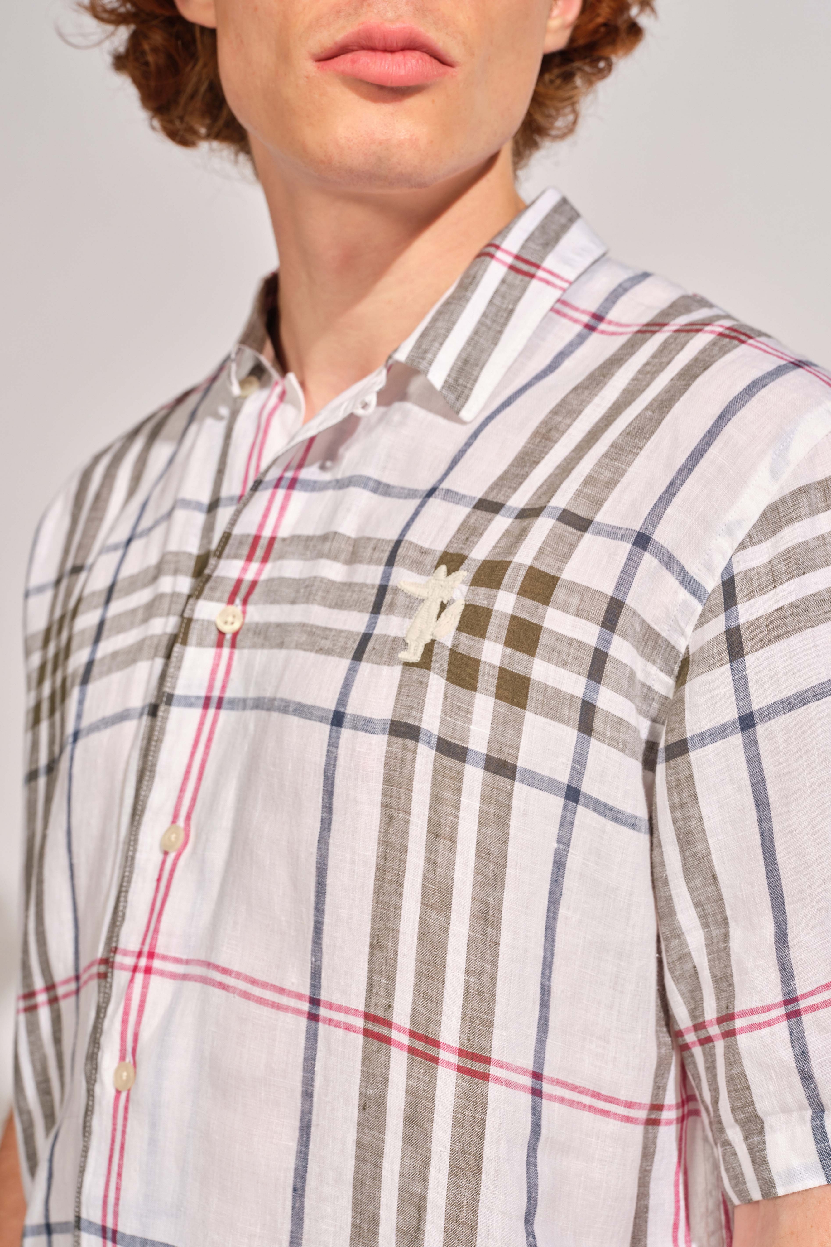 Grape Leaf Men Shirt 