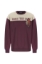 Бордовый Мужской Толстовка 